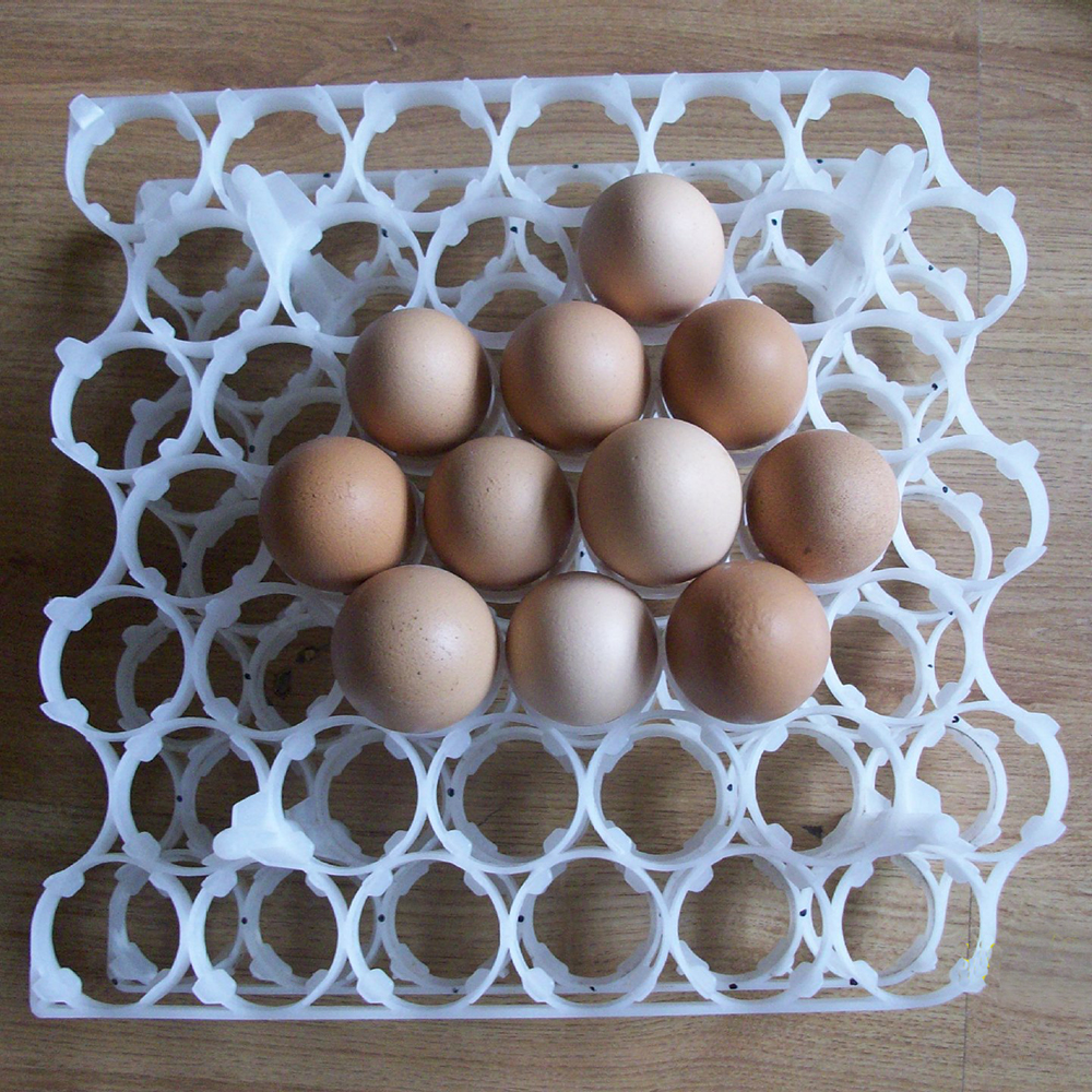 Plastic Trays for Eggs Stackable Egg Pallet Irregular 42 Egg Incubation Tray Poultry Equipment LM-87