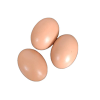 Wooden/Plastic Fake Eggs Chicken House Nest Fake Egg DIY Drawing Ornaments For Gift Easter Eggs LMA-13