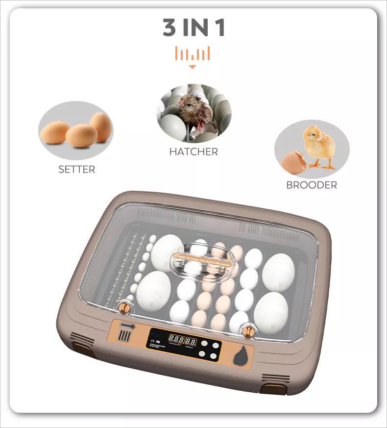 Top Quality New Latest 50 Chicken Eggs Fully Automatic Best Incubators
