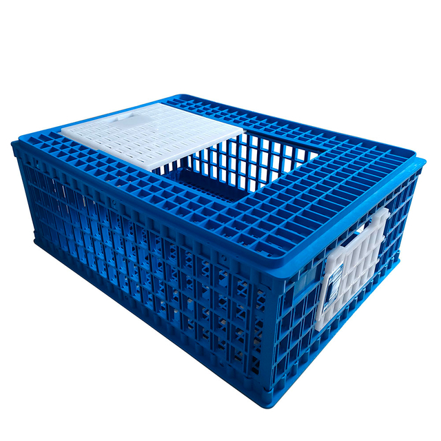 China Chicken Transport Box manufacturers, Chicken Transport Box