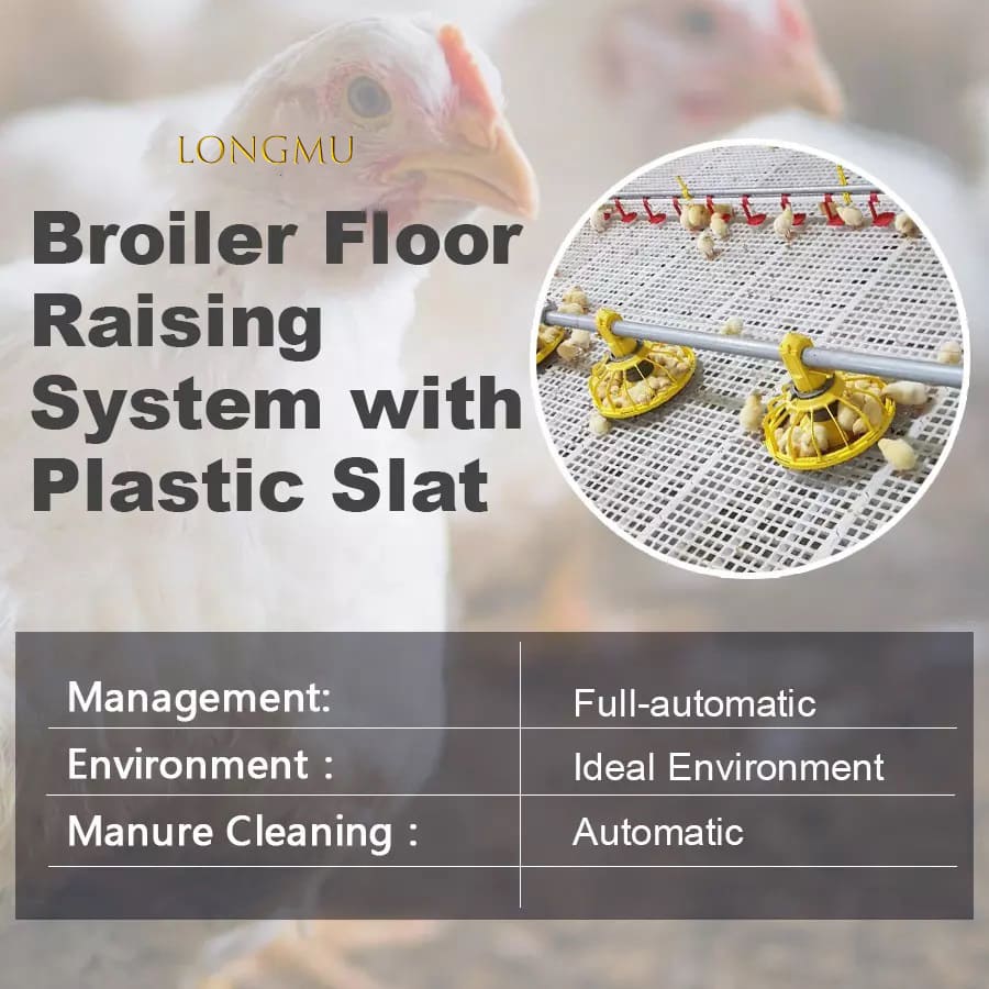 Factory Price Chicken Equipment Feeding Line Poultry Chicken Feeding And Drinking Line Accessories