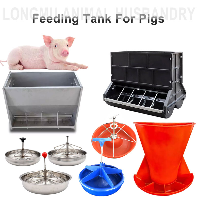 Automatic Double Side Piglets Feeder Plastic Piglet Feed Trough Pig Farm Feeder System
