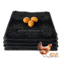 Washable And Softy Chicken Nesting Pads Plastic Reusable Hens Nesting Boxes Mat for Chicken Coop Egg Nest Pads LMA-07