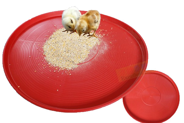 Baby Chicken Feeder Trays Poultry Farm PP Plastic Broiler Feeder Pan ...