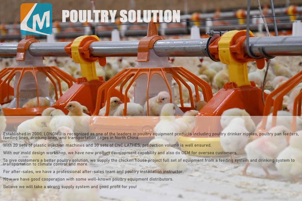 What are the equipment used in poultry? - Long Mu Animal Husbandry