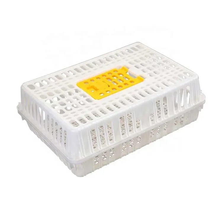 Chicken Transport Cage for Chicken Farms Poultry Equipment for Chicken Chick Broiler Hen 