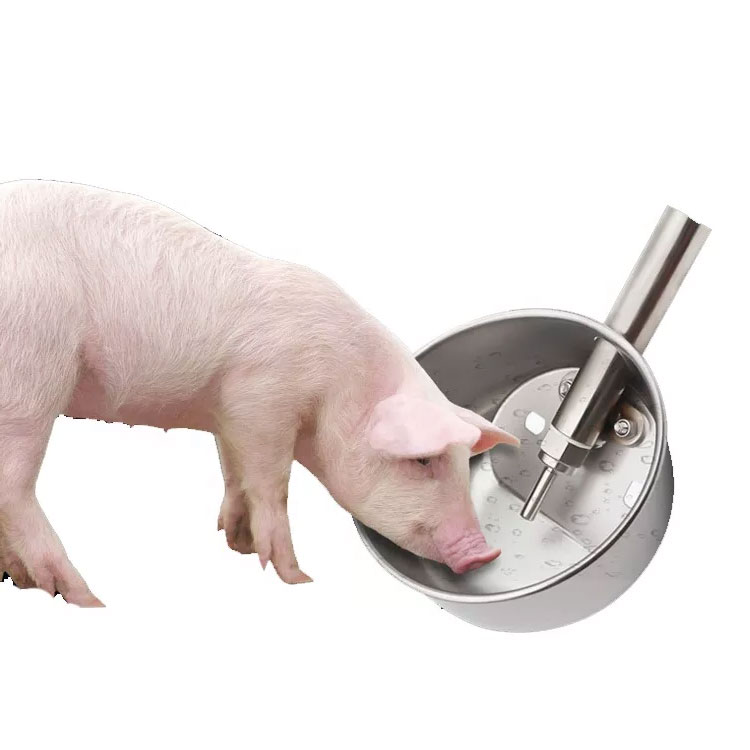 Automatic Pig Water Drinking Bowl Stainless Steel Sow Water Trough Piglets Water Drinking Cup