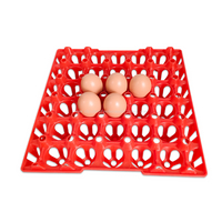 Plastic Egg Tray For 30 Chicken Eggs Stackable Egg Pallet Poultry Equipment LM-86