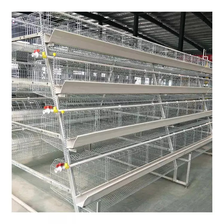 A-type Chicken Layer Cage for Automatic Breeding of Poultry Equipment Chicken Cage